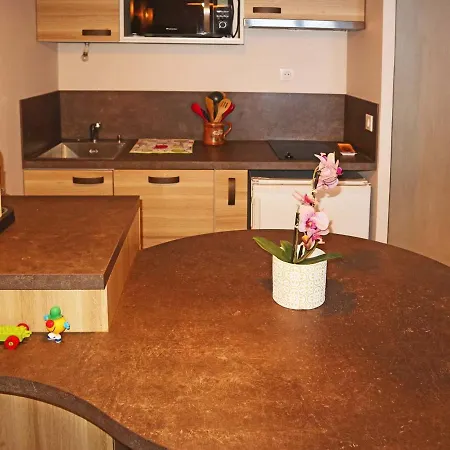 Grand Studio Renove Pour 4 Personnes Au Centre De La Station Avec Acces Direct Aux Pistes - Fr-1-322-518